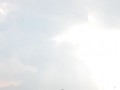 Tn dsc 2521